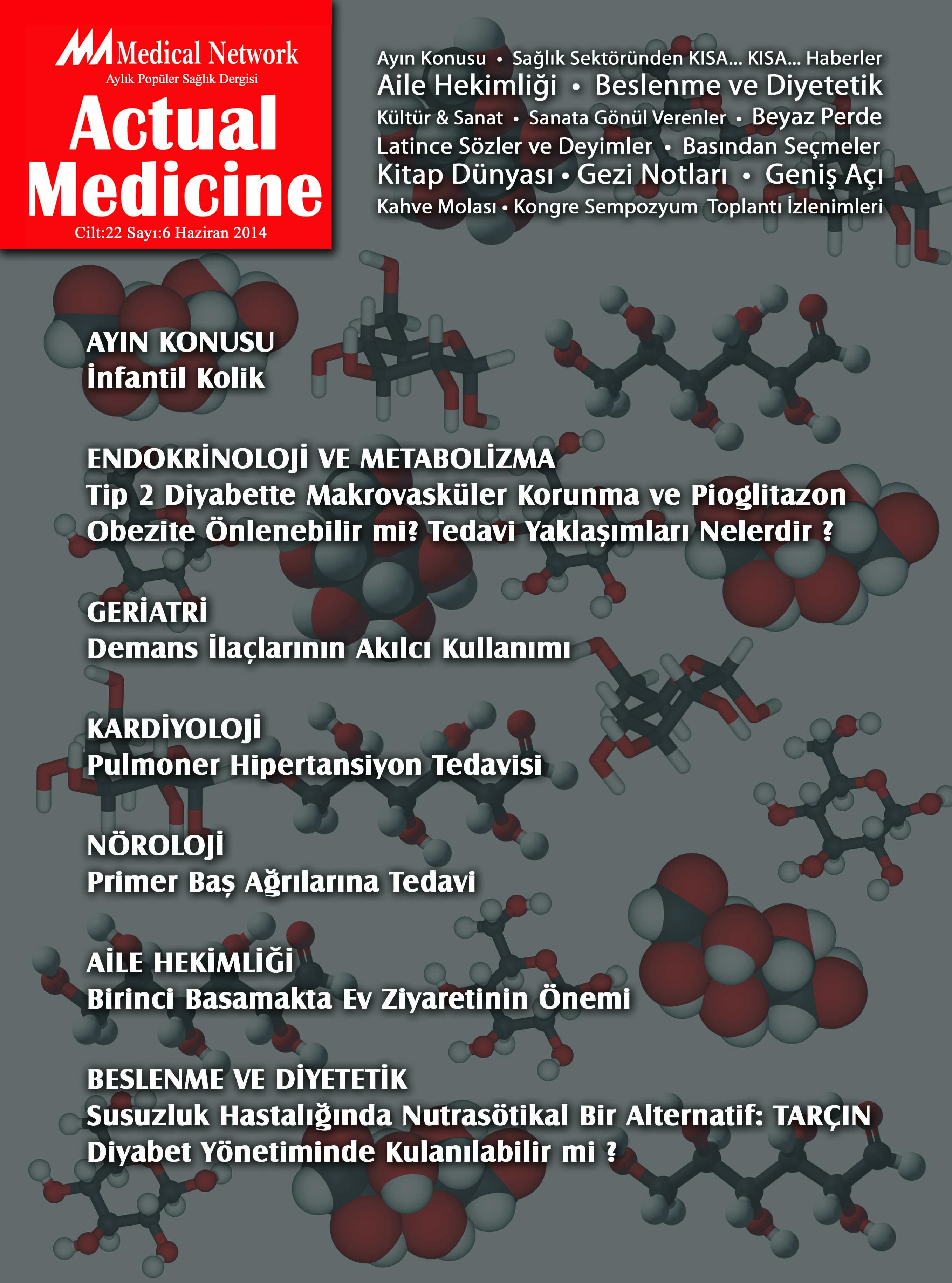 <p>Actual Medicine Cilt: 22 Sayı: 6 2014</p>